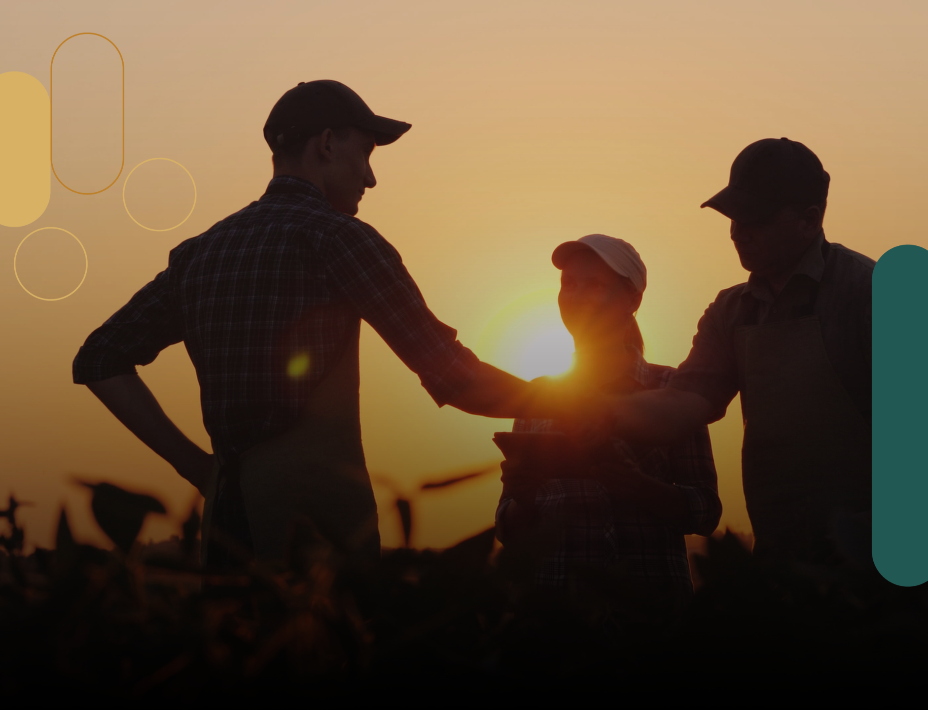 Apoio Jurídico ao Agronegócio