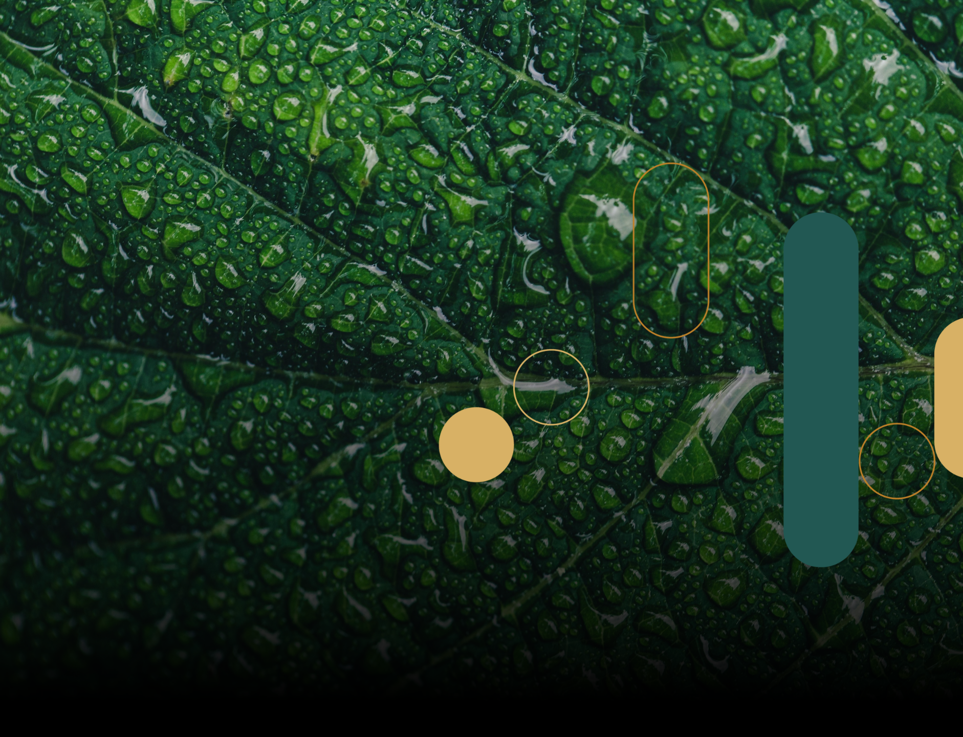 Ambiental, Sustentabilidade e ESG